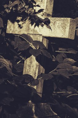 Eski mezar taşı çapraz