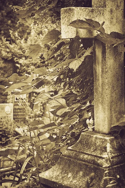 Old gravestone cross — Stock Photo, Image