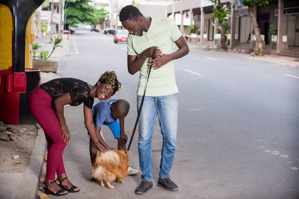 家族の散歩 市内の息子との恋人のカップルは 動物の好きな犬と遊ぶのが楽しいです — ストック写真