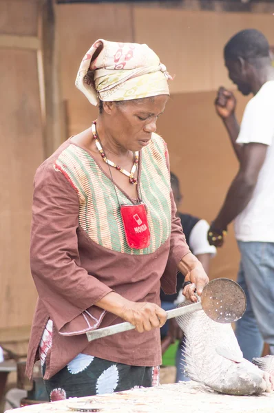 A mulher africana e o peixe — Fotografia de Stock