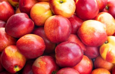 Olgun nektarinler bir kutuda