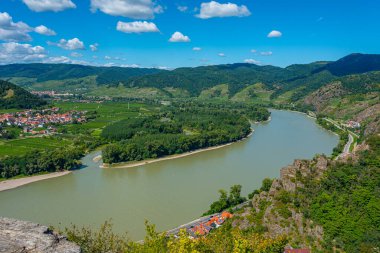 Avusturya 'nın Wachau Vadisi' ndeki Tuna Nehri manzarası.