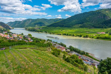 Avusturya 'daki Spitz an der Donau köyünün Panorama manzarası.
