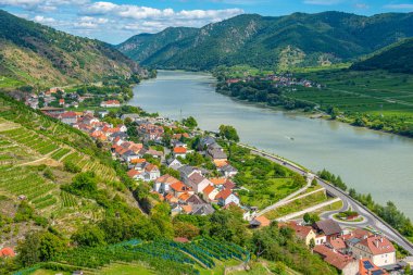 Avusturya 'daki Spitz an der Donau köyünün Panorama manzarası.