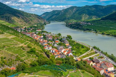 Avusturya 'daki Spitz an der Donau köyünün Panorama manzarası.