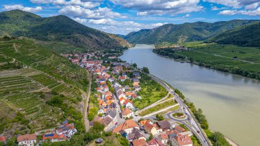 Avusturya 'daki Spitz an der Donau köyünün Panorama manzarası.