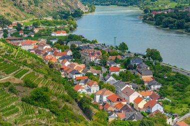 Avusturya 'daki Spitz an der Donau köyünün Panorama manzarası.