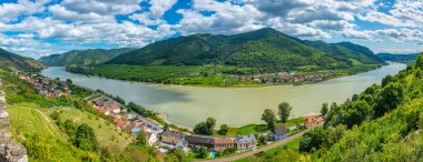 Avusturya 'daki Spitz an der Donau köyünün Panorama manzarası.