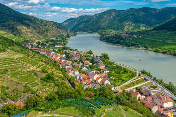Avusturya 'daki Spitz an der Donau köyünün Panorama manzarası.