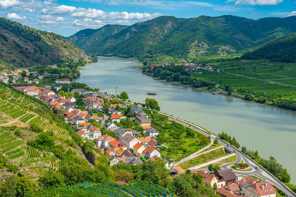 Avusturya 'daki Spitz an der Donau köyünün Panorama manzarası.