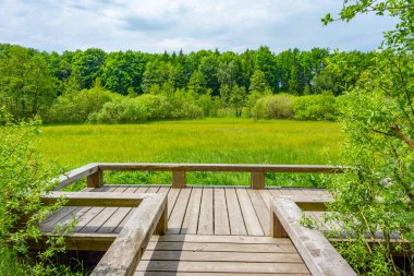 Çek Cumhuriyeti 'nde Zdar nad Sazavaou' nun güzel kırsalında.
