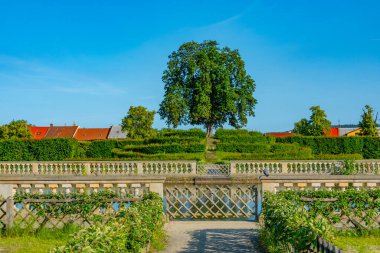 Çek Cumhuriyeti 'nin Kromeriz Çiçek Bahçesi' ndeki çilek tepeleri.
