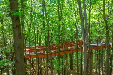 Çek Cumhuriyeti Beskydy dağlarındaki Stezka Valaska gözlem kulesi.