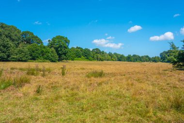 Battlefield of battle of Hastings in England.IMAGE