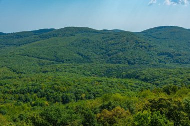 Macaristan 'daki Regec kalesi çevresindeki ormanların manzarası.