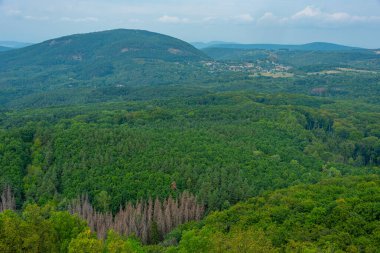 Macaristan 'daki Salgo Kalesi' nin çevresindeki ormanların manzarası.