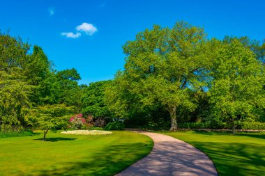 Edinburgh, İskoçya 'daki Holyroodhouse Sarayı' ndaki bahçe.