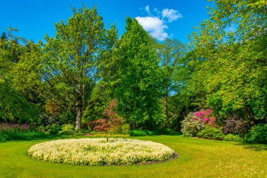 Edinburgh, İskoçya 'daki Holyroodhouse Sarayı' ndaki bahçe.
