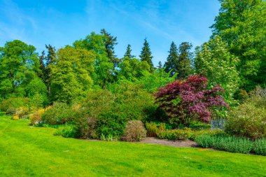 Perth, İskoçya yakınlarındaki Scone Sarayı 'nda bahçeler.