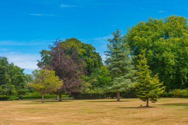 Wilton 'ların evi ve Salisbury, İngiltere yakınlarındaki bahçeler.