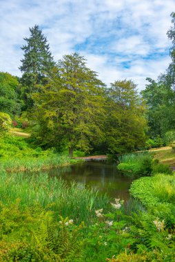 İngiltere 'deki Stourhead malikanesinde göl.