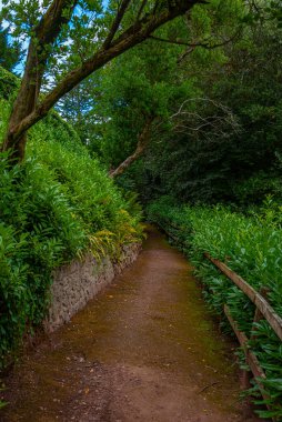 İngiltere 'deki Dunster şatosunun bahçesi.