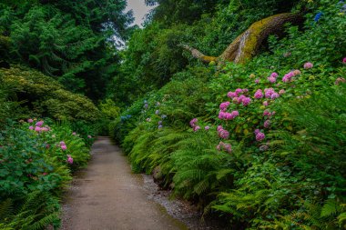 İngiltere 'deki Dunster şatosunun bahçesi.