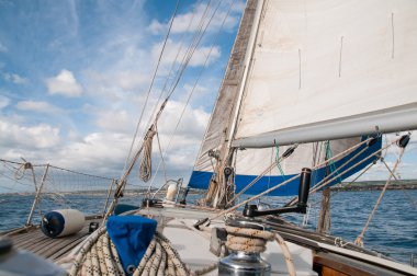 Barca vela a