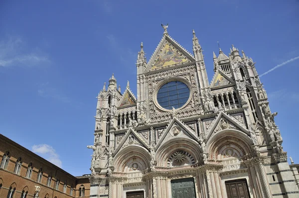 Reis naar Siena en Pisa in Italië Stockafbeelding