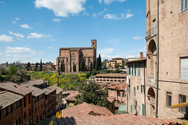 Viaje a Siena y Pisa en Italia — Foto de Stock