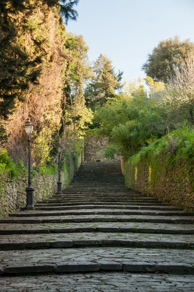 Siena ve Pisa İtalya gezisi