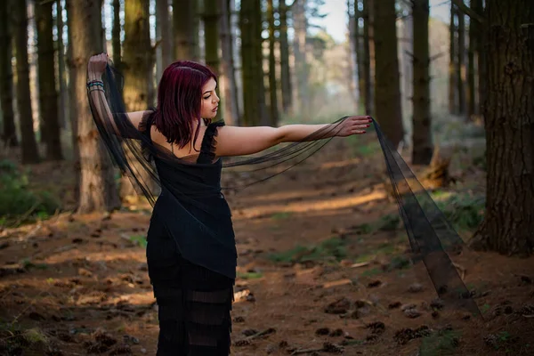 Ein Schönes Schwarzhaariges Mädchen Einem Kiefernwald — Stockfoto