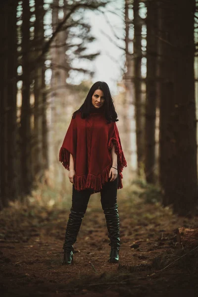 Ein Schönes Schwarzhaariges Mädchen Einem Kiefernwald — Stockfoto