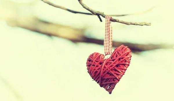 Heart on the branch — Stock Photo, Image