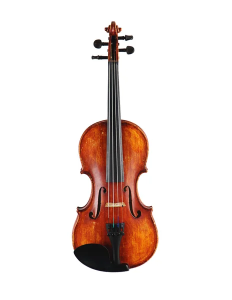 Violino — Fotografia de Stock