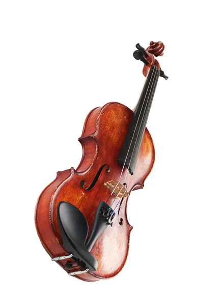 Violino — Fotografia de Stock