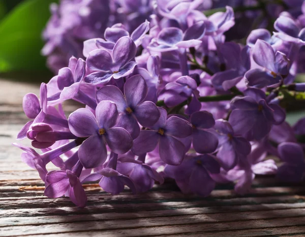 Flores de primavera Fotos De Bancos De Imagens