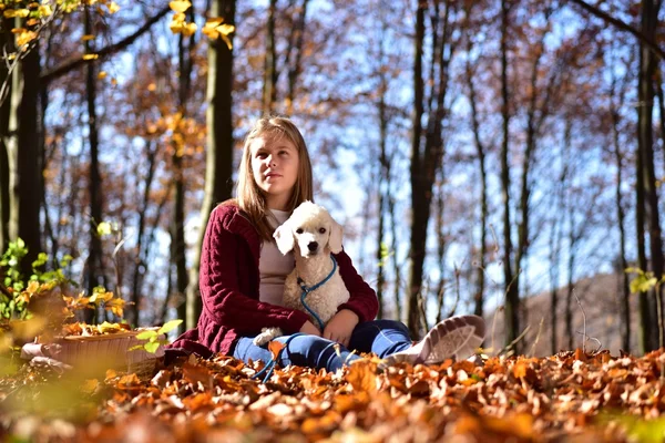 Chica con perro en el parque — Foto de Stock