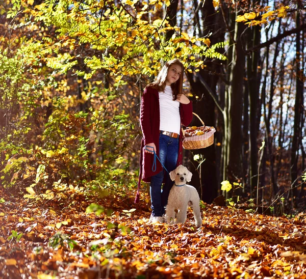 Chica con perro en el parque — Foto de Stock