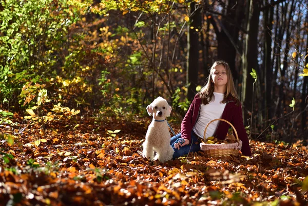 Chica con perro en el parque — Foto de Stock