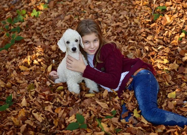 Dziewczyna z psem w parku — Zdjęcie stockowe