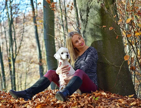 Una chica con su perro en otoño colorido — Foto de Stock