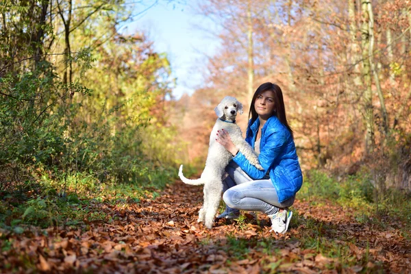 Dziewczyna z psem w jesień kolorowy — Zdjęcie stockowe
