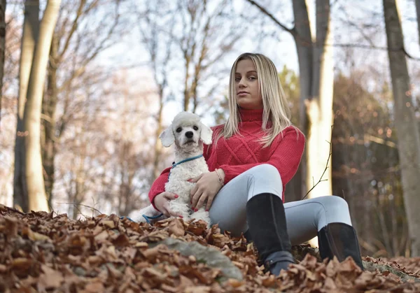 一个女孩与她的狗在多彩的秋天 — 图库照片