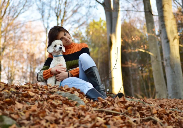 Девушка со своей собакой яркой осенью — стоковое фото