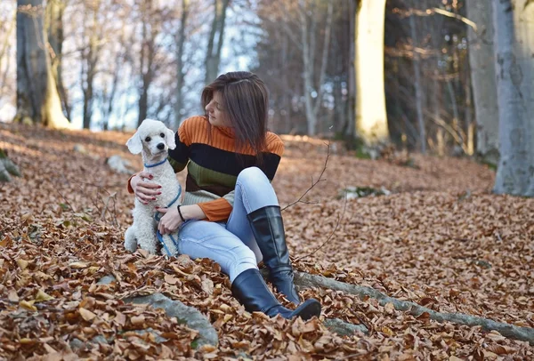 Una chica con su perro en otoño colorido — Foto de Stock