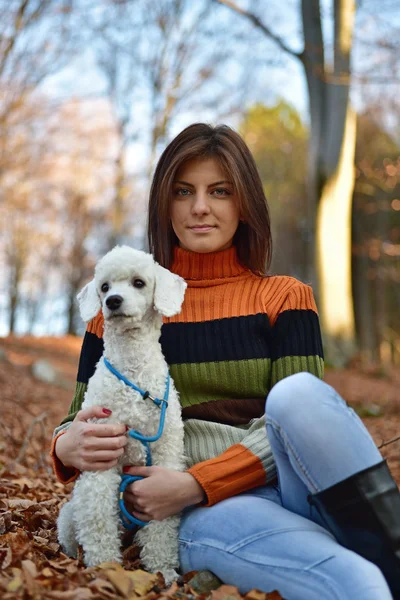 Una chica con su perro en el colorido bosque de otoño —  Fotos de Stock