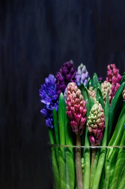 Vazodaki renkli sümbüller