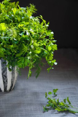 organik taze yeşil otlar ve gri arka plan