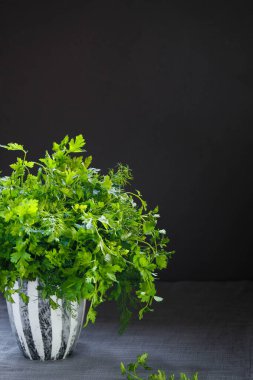 Taze maydanoz ve rezene.